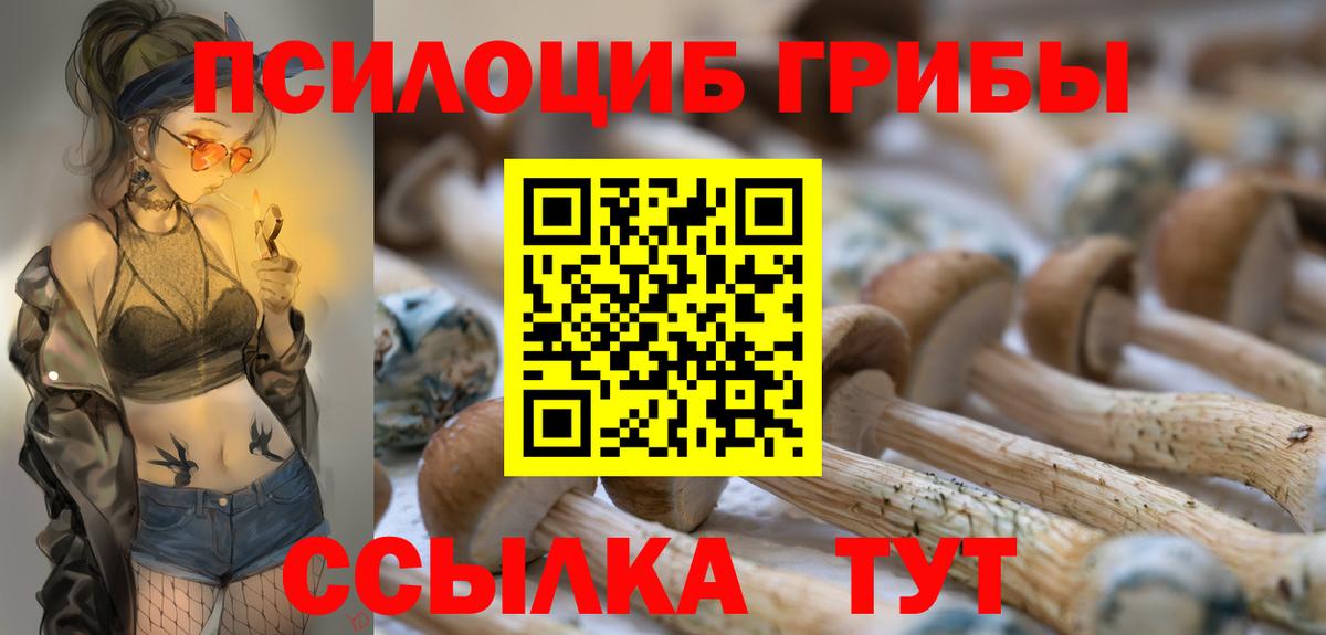 Дубна  Галлюциногенные грибы GOLDEN TEACHER  купить   Вход с VPN  Псилоцибиновые грибы прущие грибы 